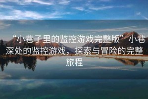 “小巷子里的監(jiān)控游戲完整版”小巷深處的監(jiān)控游戲，探索與冒險的完整旅程