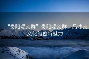 “貴陽喝茶群”貴陽喝茶群，品味茶文化的獨特魅力