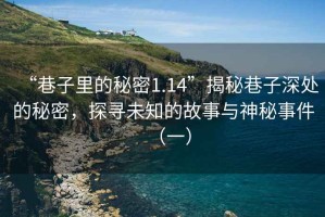 “巷子里的秘密1.14”揭秘巷子深處的秘密，探尋未知的故事與神秘事件（一）