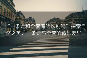 “一條龍和全套有啥區(qū)別嗎”探索自然之美，一條龍與全套的微妙差異