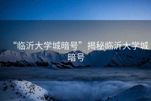 “臨沂大學(xué)城暗號”揭秘臨沂大學(xué)城暗號