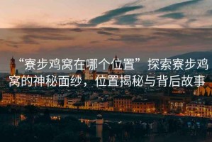 “寮步雞窩在哪個位置”探索寮步雞窩的神秘面紗，位置揭秘與背后故事
