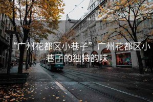 “廣州花都區(qū)小巷子”廣州花都區(qū)小巷子的獨(dú)特韻味
