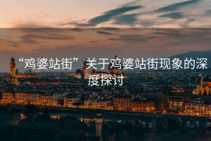 “雞婆站街”關(guān)于雞婆站街現(xiàn)象的深度探討