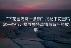“下花園雞窩一條街”揭秘下花園雞窩一條街，探尋獨(dú)特風(fēng)情與背后的故事