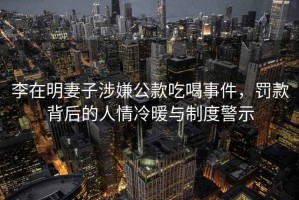 李在明妻子涉嫌公款吃喝事件，罰款背后的人情冷暖與制度警示