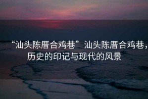 “汕頭陳厝合雞巷”汕頭陳厝合雞巷，歷史的印記與現(xiàn)代的風(fēng)景