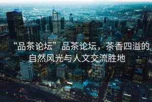 “品茶論壇”品茶論壇，茶香四溢的自然風光與人文交流勝地