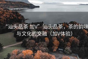 “汕頭品茶 加V”汕頭品茶，茶的韻味與文化的交融（加V體驗(yàn)）
