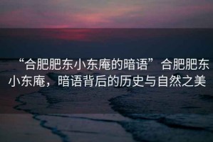 “合肥肥東小東庵的暗語”合肥肥東小東庵，暗語背后的歷史與自然之美