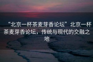 “北京一杯茶麥芽香論壇”北京一杯茶麥芽香論壇，傳統(tǒng)與現(xiàn)代的交融之地
