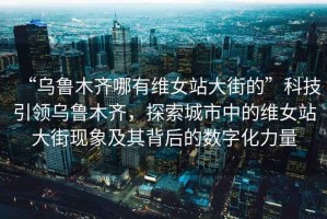 “烏魯木齊哪有維女站大街的”科技引領(lǐng)烏魯木齊，探索城市中的維女站大街現(xiàn)象及其背后的數(shù)字化力量