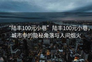 “陸豐100元小巷”陸豐100元小巷，城市中的隱秘角落與人間煙火