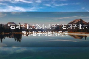 “石河子北六路小巷子”石河子北六路小巷子的獨(dú)特風(fēng)情