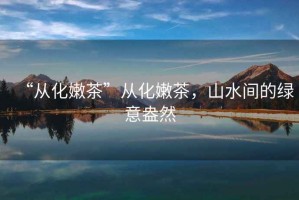 “從化嫩茶”從化嫩茶，山水間的綠意盎然
