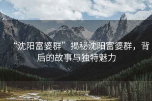 “沈陽富婆群”揭秘沈陽富婆群，背后的故事與獨特魅力