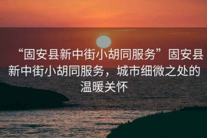“固安縣新中街小胡同服務”固安縣新中街小胡同服務，城市細微之處的溫暖關懷