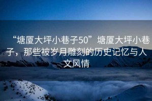“塘廈大坪小巷子50”塘廈大坪小巷子，那些被歲月雕刻的歷史記憶與人文風(fēng)情