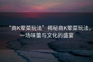“商K葷菜玩法”揭秘商K葷菜玩法，一場味蕾與文化的盛宴