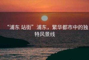 “浦東 站街”浦東，繁華都市中的獨特風景線