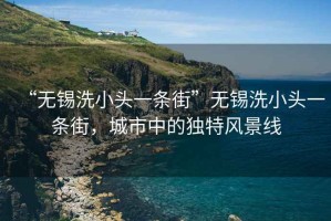 “無錫洗小頭一條街”無錫洗小頭一條街，城市中的獨特風(fēng)景線