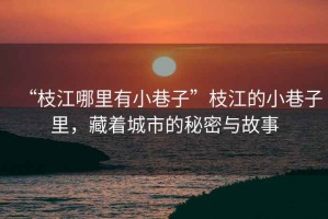 “枝江哪里有小巷子”枝江的小巷子里，藏著城市的秘密與故事
