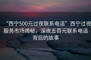 “西寧500元過夜聯(lián)系電話”西寧過夜服務(wù)市場揭秘，深夜五百元聯(lián)系電話背后的故事