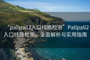 “palipali2入口線路檢測(cè)”Palipali2入口線路檢測(cè)，全面解析與實(shí)用指南
