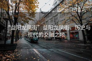 “益陽龍鳳街”益陽龍鳳街，歷史與現(xiàn)代的交融之地
