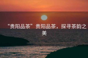“貴陽(yáng)品茶”貴陽(yáng)品茶，探尋茶韻之美