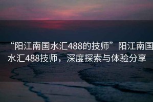 “陽(yáng)江南國(guó)水匯488的技師”陽(yáng)江南國(guó)水匯488技師，深度探索與體驗(yàn)分享