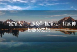 “搖擺龍什么服務(wù)”搖擺龍，探索神秘服務(wù)之旅