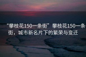 “攀枝花150一條街”攀枝花150一條街，城市新名片下的繁榮與變遷