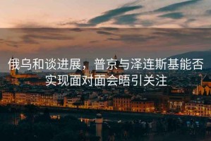 俄烏和談進(jìn)展，普京與澤連斯基能否實(shí)現(xiàn)面對(duì)面會(huì)晤引關(guān)注