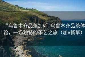 “烏魯木齊品茶加V”烏魯木齊品茶體驗(yàn)，一場(chǎng)獨(dú)特的茶藝之旅（加V暢聊）
