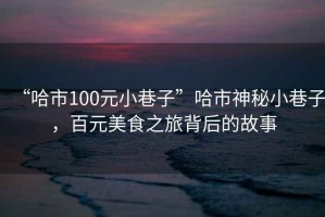 “哈市100元小巷子”哈市神秘小巷子，百元美食之旅背后的故事