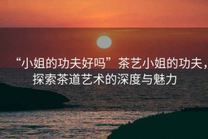 “小姐的功夫好嗎”茶藝小姐的功夫，探索茶道藝術(shù)的深度與魅力