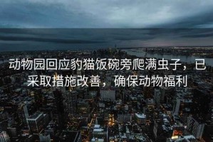動(dòng)物園回應(yīng)豹貓飯碗旁爬滿蟲(chóng)子，已采取措施改善，確保動(dòng)物福利