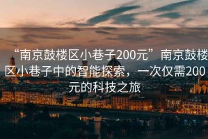 “南京鼓樓區(qū)小巷子200元”南京鼓樓區(qū)小巷子中的智能探索，一次僅需200元的科技之旅