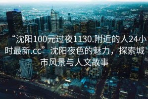 “沈陽100元過夜1130.附近的人24小時最新.cc”沈陽夜色的魅力，探索城市風(fēng)景與人文故事