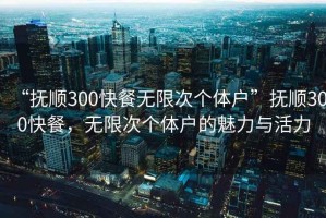 “撫順300快餐無限次個體戶”撫順300快餐，無限次個體戶的魅力與活力
