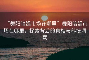 “舞陽(yáng)暗娼市場(chǎng)在哪里”舞陽(yáng)暗娼市場(chǎng)在哪里，探索背后的真相與科技洞察