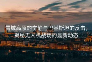 雪域高原的寧靜與巴基斯坦的反擊，揭秘?zé)o人機戰(zhàn)場的最新動態(tài)