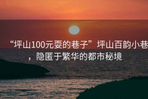 “坪山100元耍的巷子”坪山百韻小巷，隱匿于繁華的都市秘境