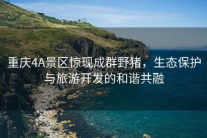 重慶4A景區(qū)驚現(xiàn)成群野豬，生態(tài)保護(hù)與旅游開(kāi)發(fā)的和諧共融