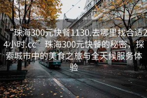 “珠海300元快餐1130.去哪里找合適24小時.cc”珠海300元快餐的秘密，探索城市中的美食之旅與全天候服務(wù)體驗(yàn)