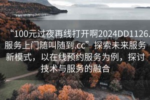 “100元過夜再線打開啊2024DD1126.服務(wù)上門隨叫隨到.cc”探索未來服務(wù)新模式，以在線預(yù)約服務(wù)為例，探討技術(shù)與服務(wù)的融合