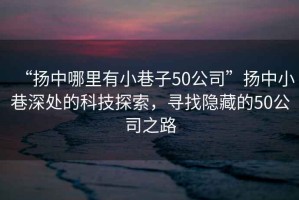 “揚(yáng)中哪里有小巷子50公司”揚(yáng)中小巷深處的科技探索，尋找隱藏的50公司之路