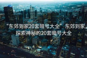 “東郊到家20套暗號大全”東郊到家，探索神秘的20套暗號大全