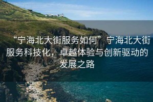 “寧海北大街服務(wù)如何”寧海北大街服務(wù)科技化，卓越體驗與創(chuàng)新驅(qū)動的發(fā)展之路